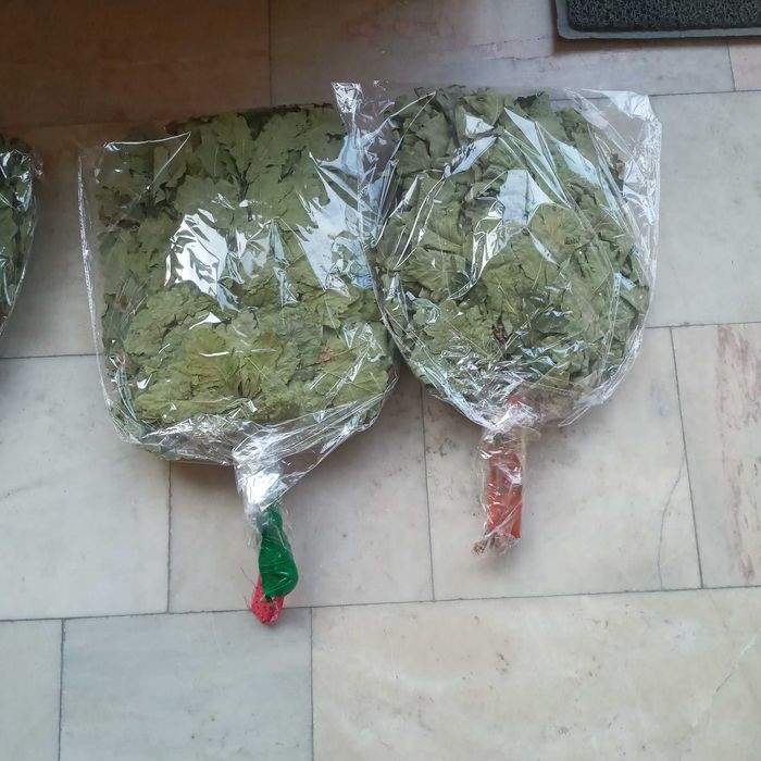 Веник берёзовый и дубовый российский