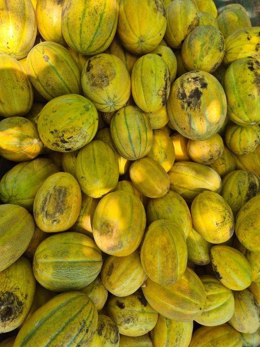 Vând pepeni en-gros