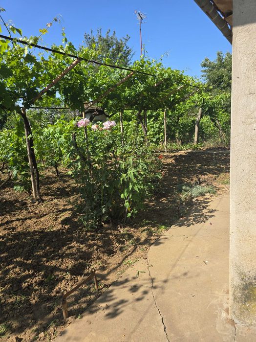 Продава се Къща в с. Калипетрово, Област Силистра - 45 кв.м за 680 €/кв.м - Снимка #18