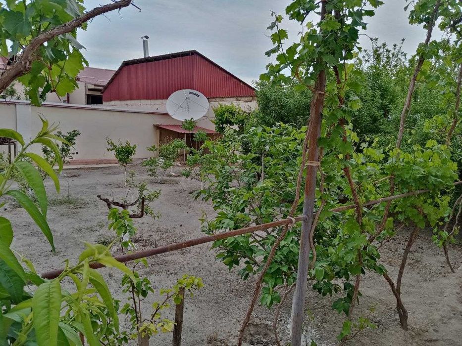 Farg'ona shahar Ilg'or mfy ot choparda joylashgan 6 sotix uy sotiladi