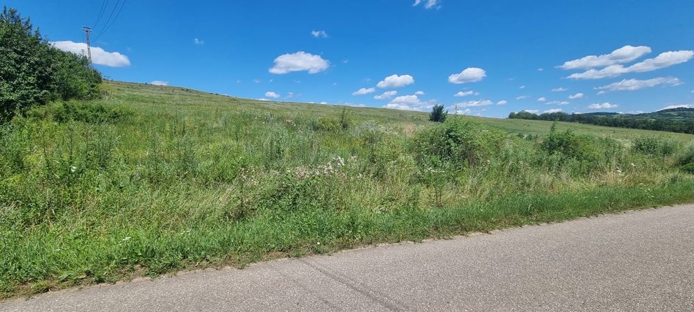 Teren intravilan / extravilan 4  e mp. 14 Hectare