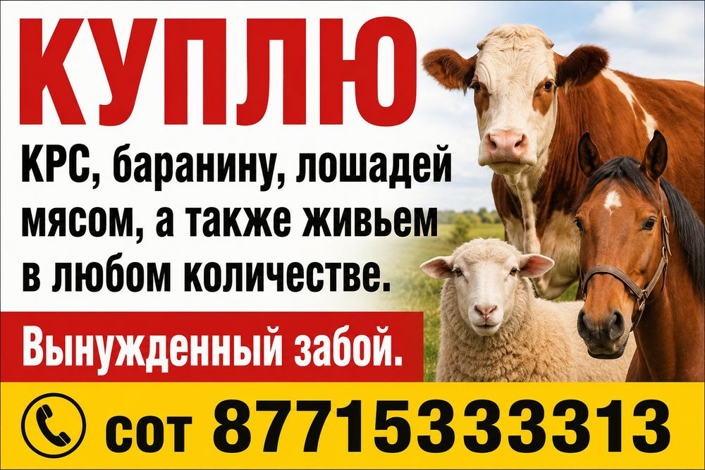 Крупно рогатый скот