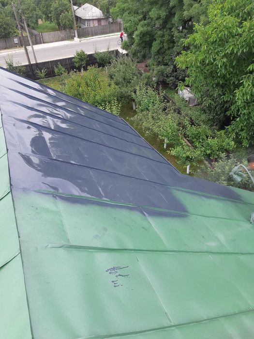 Meserias vopsitor utilitar pentru acoperisuri, reparatii, confectionari