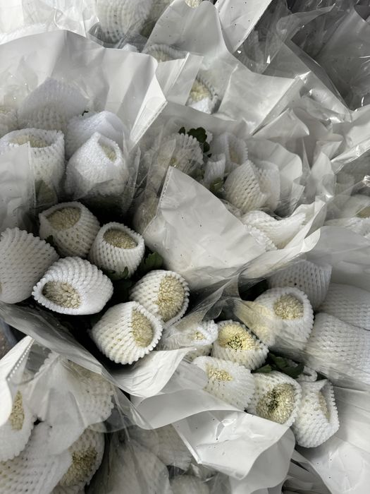 Момоко трендовые 600тенге