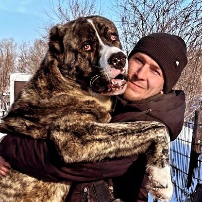 Алабай кабель только для вязки.