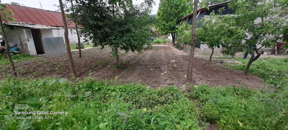 Xumsonda 13 sotix xovli sotiladi. 1 sotixi 10500$