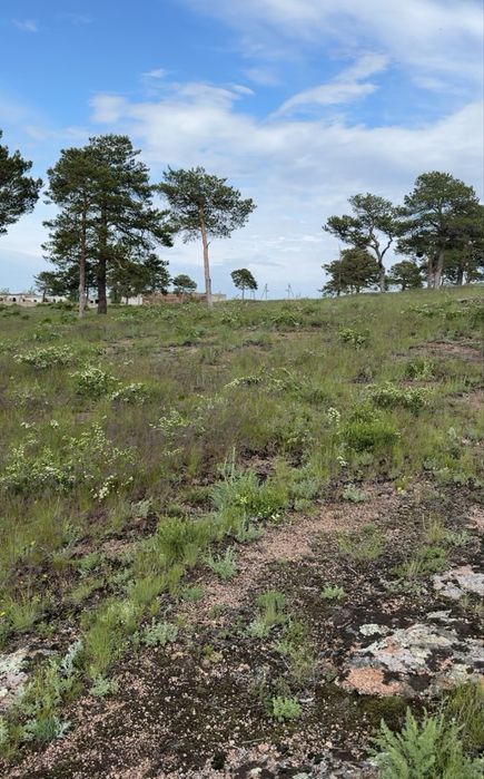 Продам участок 10 соток