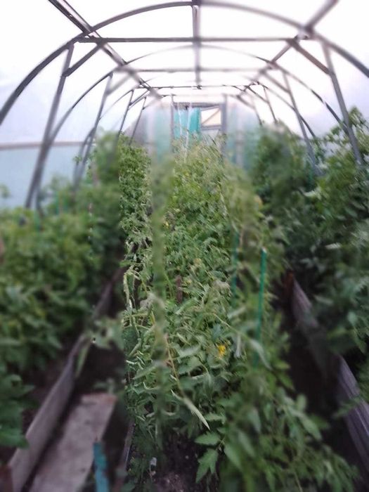 Продам  частный дом