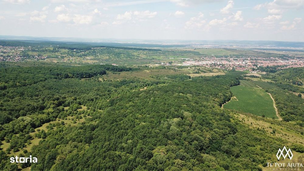 Livadă de Nuci, 11 Hectare comasate, Cisnădie, Jud. Sibiu