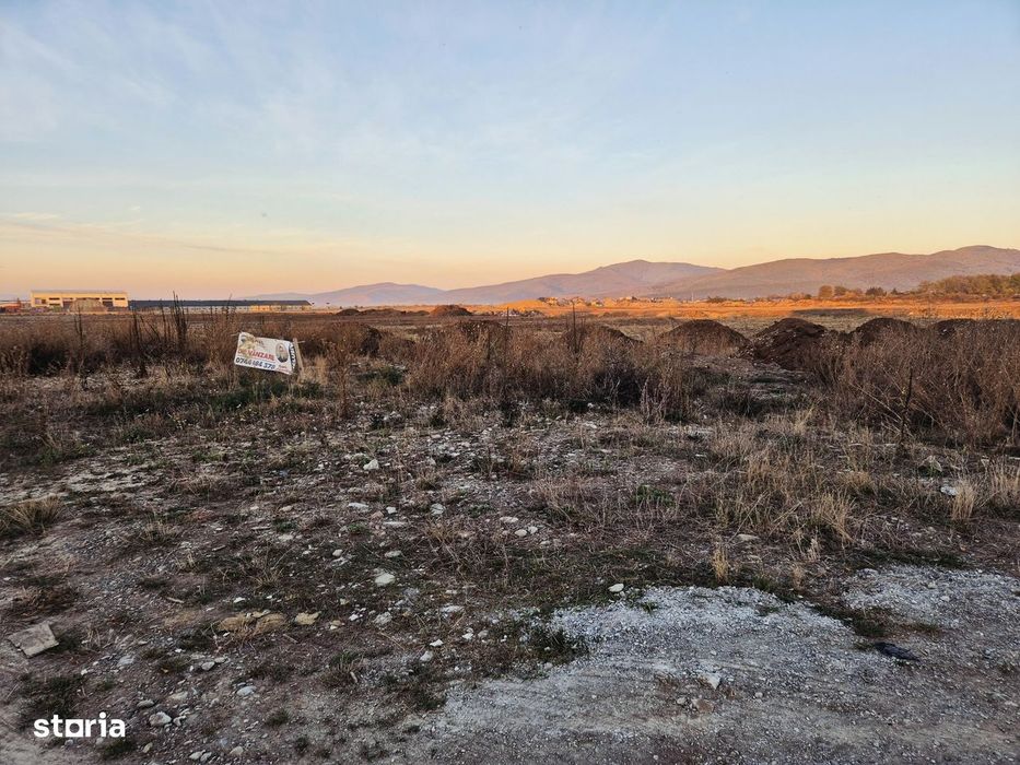 Teren intravilan 1450 mp, construibil Carpinis, zona de case