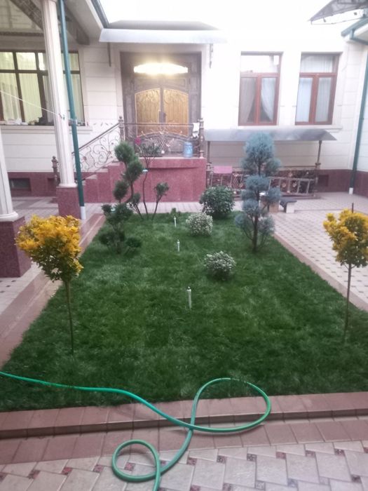 Gazon   Rulon.    Yevro   urug.   ishonchli  sepip berish va yotgizish