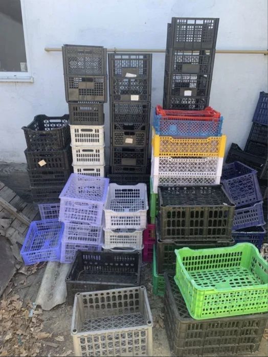 сбор закуп пластиковых ящиков