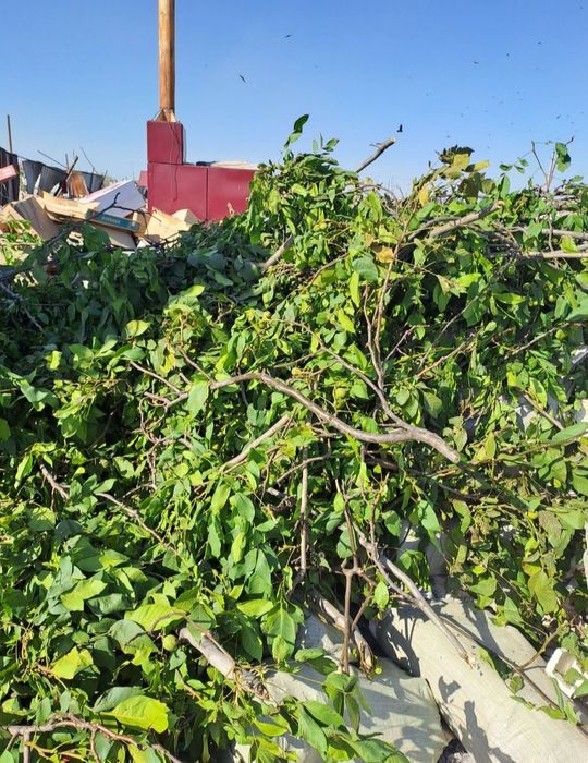 Вывоз мусора любого типа.24/7 - Вывоз мусора / снега Алматы на Olx