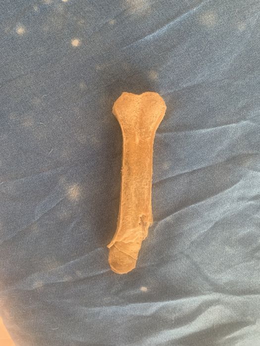 Продам игрушки для животных