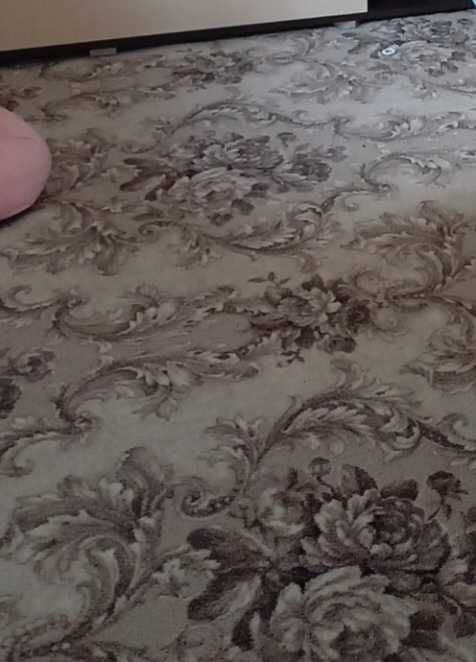 Продам палас(ковролин) 3×3