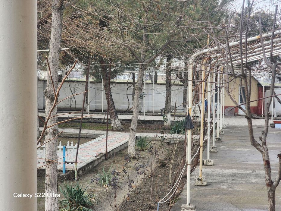 Restaran biznes sotiladi