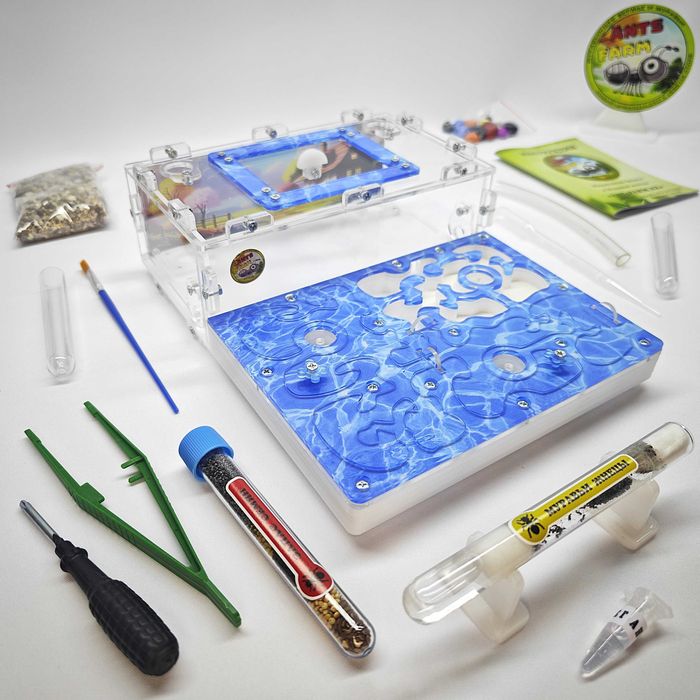 ГИПСОВЫЙ Формикарий "ADVANCED" ||| Муравьиная ферма - Муравьи жнецы