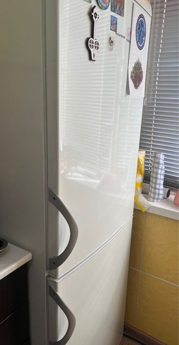 Холодильник vestfrost даром