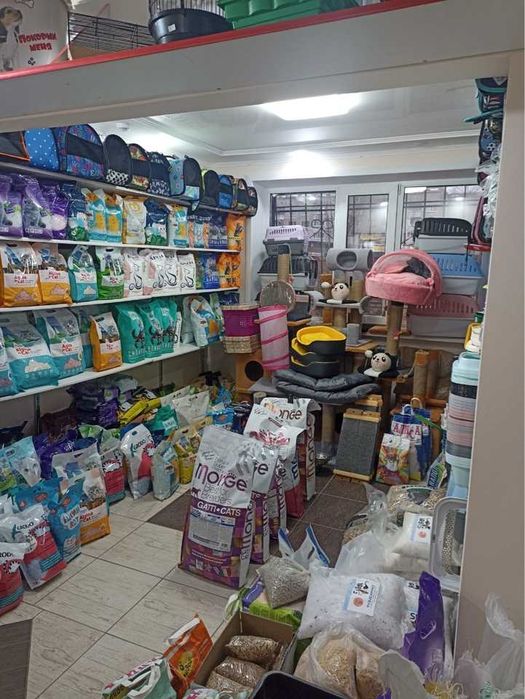 Зоомагазин помещение