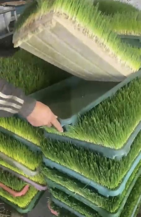 Бизнес в Караганде