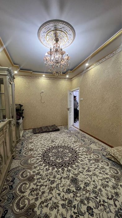 Olmazor tumani  qora qamish 1/2. 3/1/5. 70kv. A297