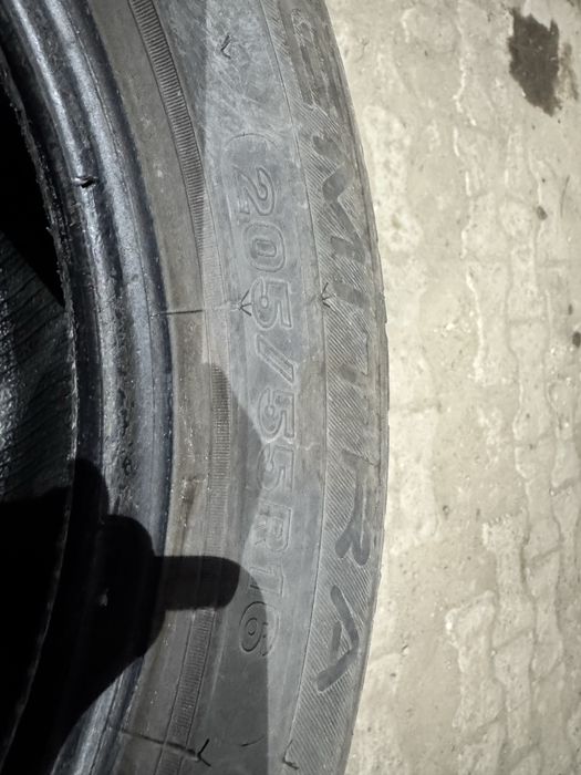 MAXXIS Premitra HP5 205/55 R16 91V