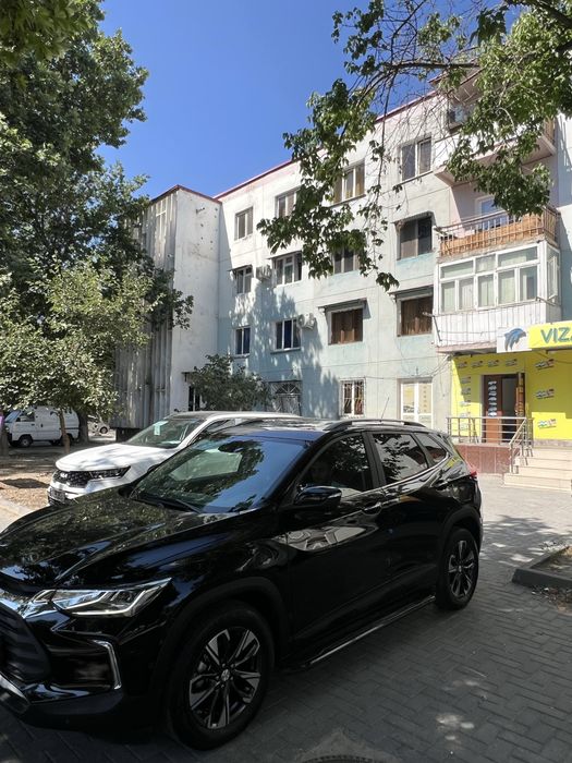 Yili 2025/25 premier plyus