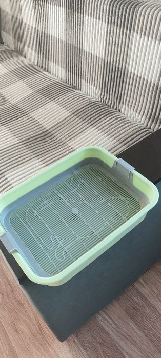 Когтеточка кошачья и лоток