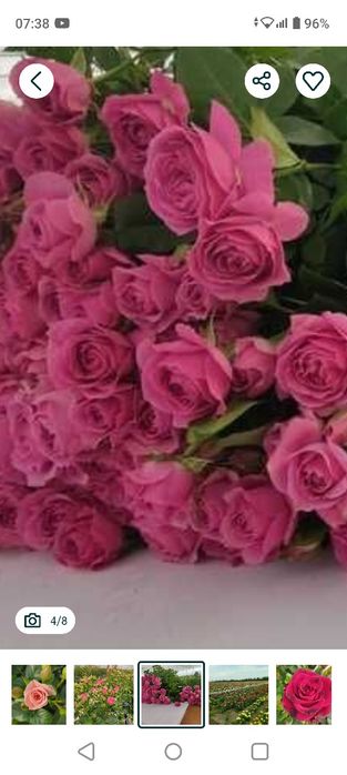 Дехкончилик гарантия качества