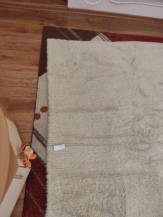 Запазен вълнен китеник