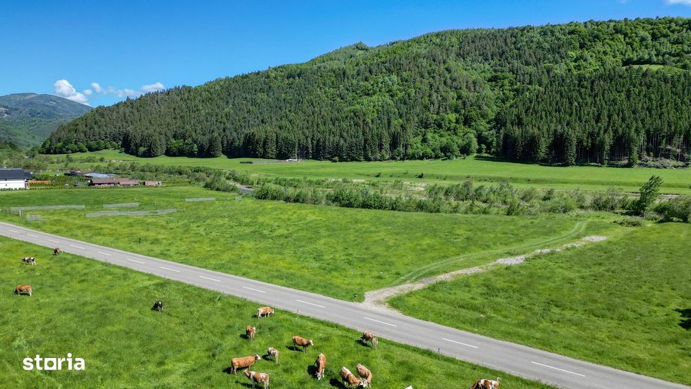 Teren intravilan In Zarnesti zona Plaiul Foii, asfalt si priveliste