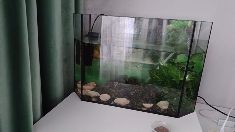 Продам аквариум со всеми принадлежностями