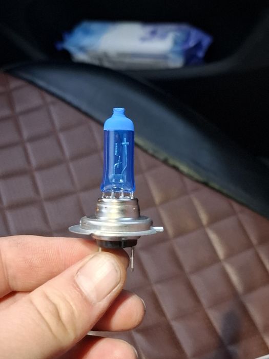 Продам лампочки Н7