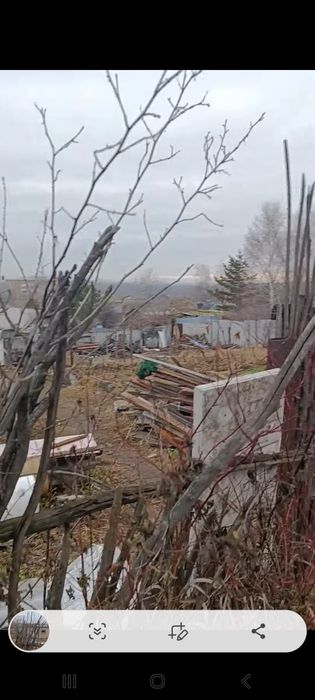 Земельный участок с постройкой, борки.