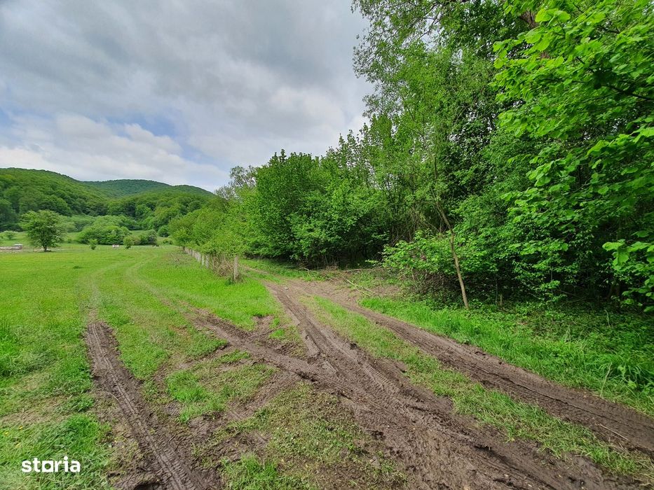 Teren Rasnov – Predeal zona de pensiuni