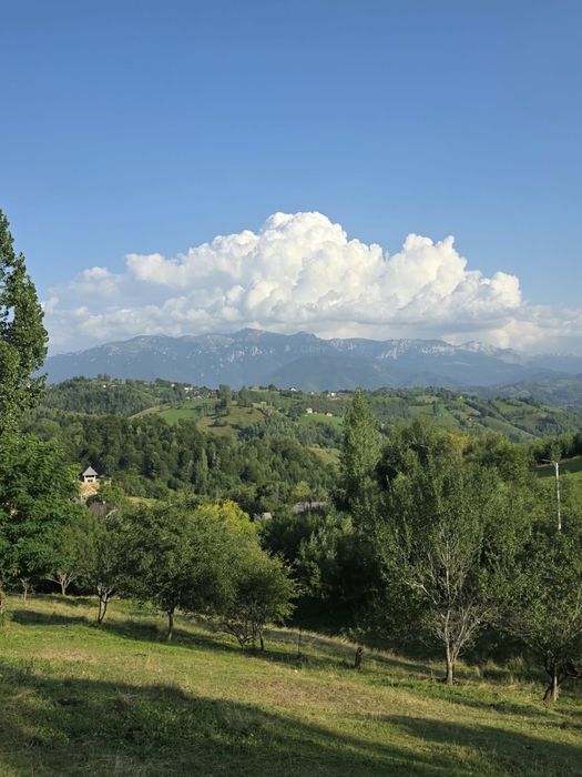De Vânzare: Teren Panoramic de 12.009 mp la Drumul Principal în Măgura (Moeciu) – Ideal Complex Turistic / Pensiune / Cabane