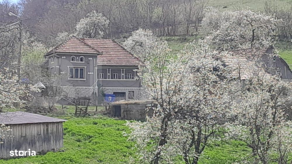 Casa individuala, 5500 mp teren, zona Vintu de Jos, Inuri