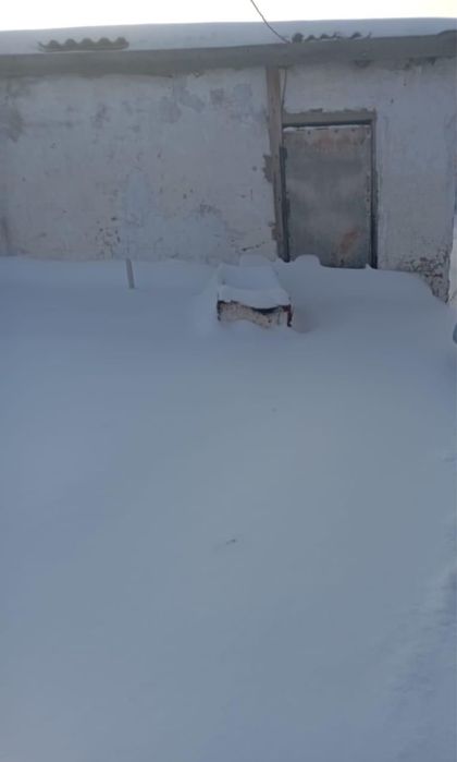 продам дом в селе Березовка