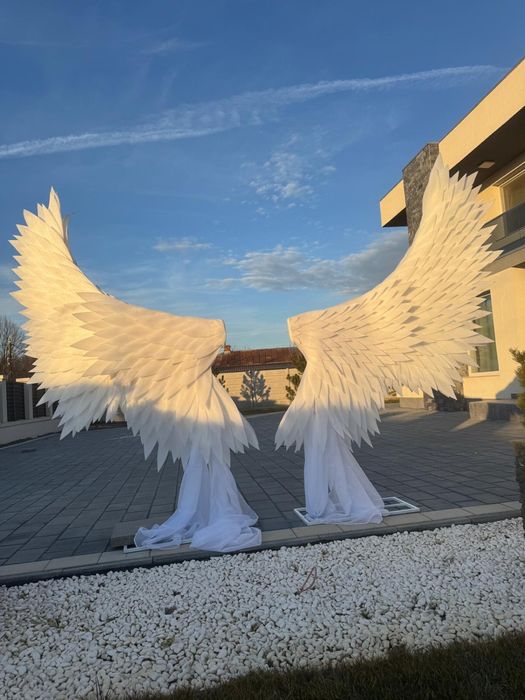 Scaune, mese, umbrele, vesela, corturi, aripi inger de inchiriat!