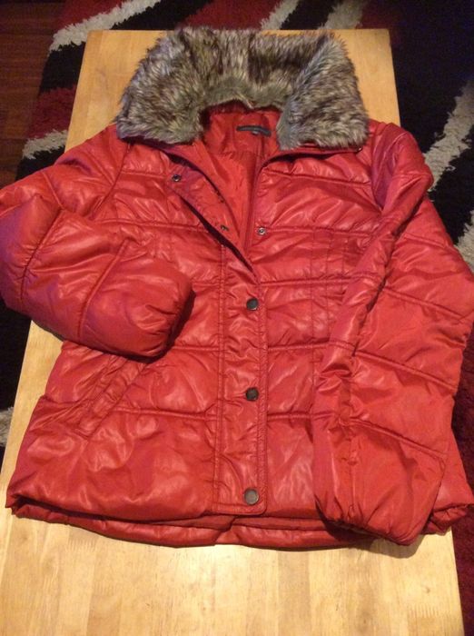 Geci barbati de iarna