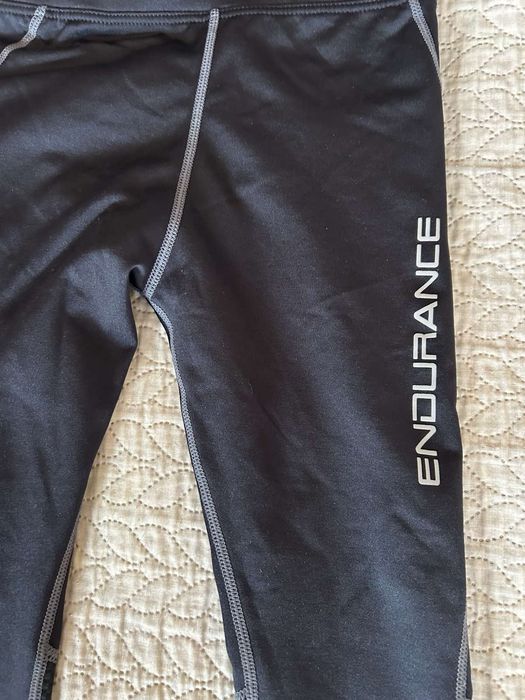 Термоклин Endurance