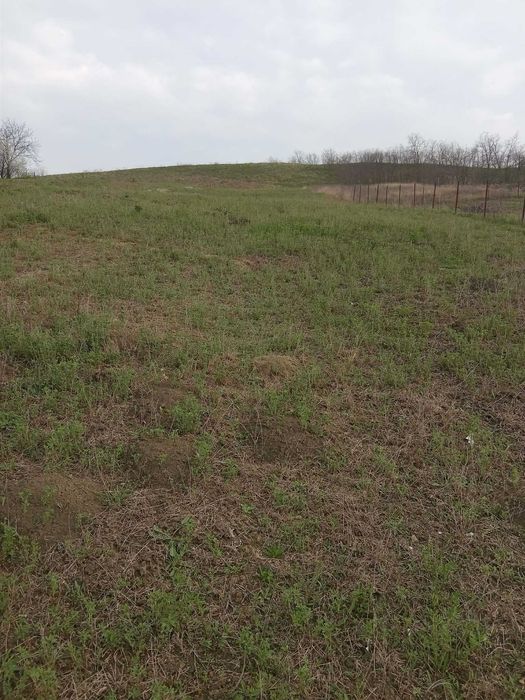 Teren intravilan Catamaresti