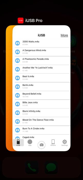 Cititoare microsd iphone