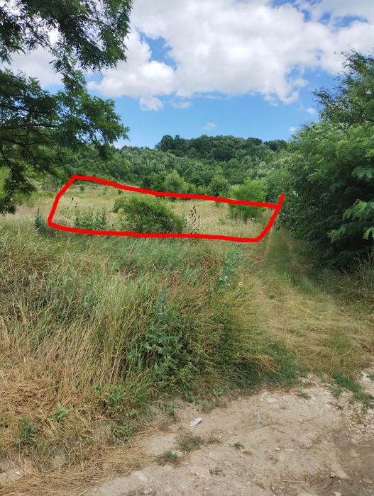 Vând teren extravilan in  Sanduleni Bacău la ieșire pe DN 11 spre Onești telefon 0785825589
