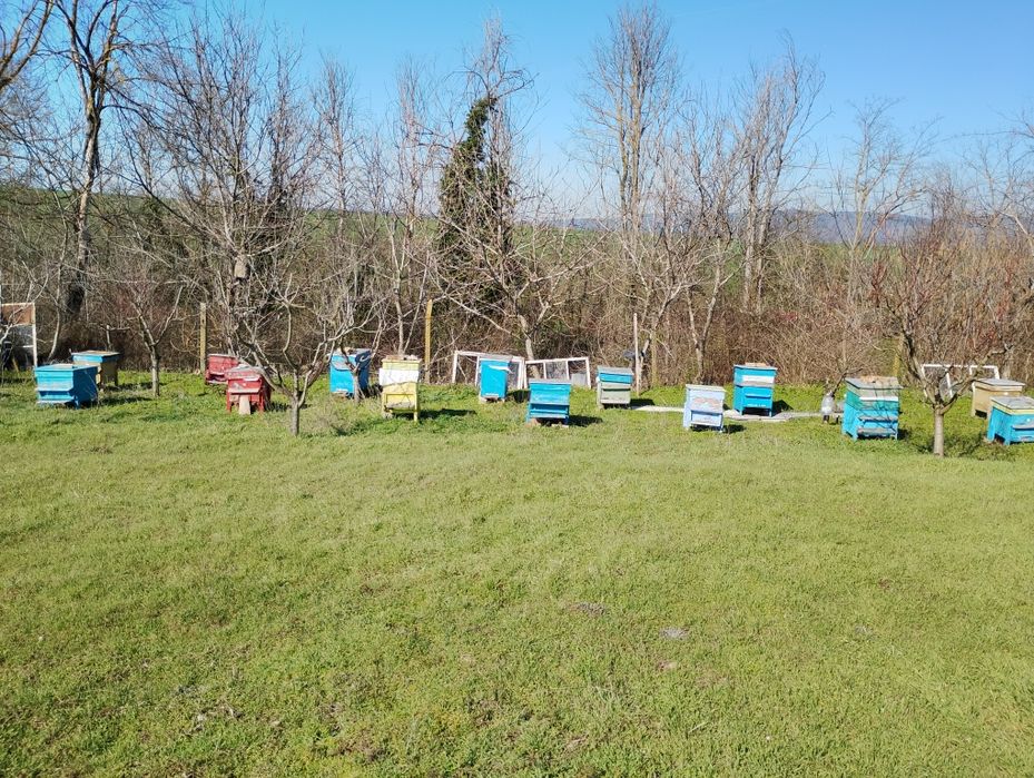 Празни пчелни кошери