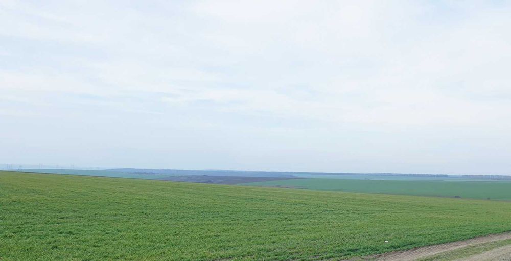 Продавам земеделска земя 3та/кат в близост до главен път Шумен-Разград