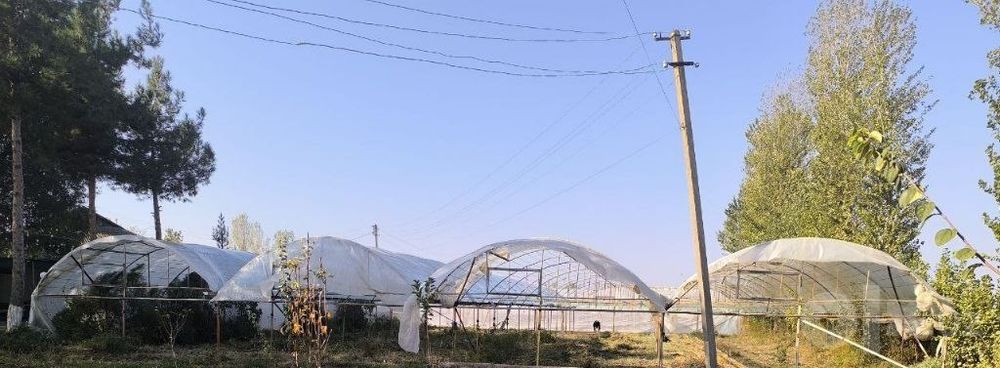 Noturar yer sotiladi Bekobod tumani Nazarboy MFY 30 sotix
Bekobod tuma