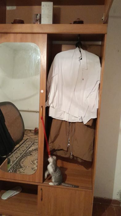 Продам шкаф -купе