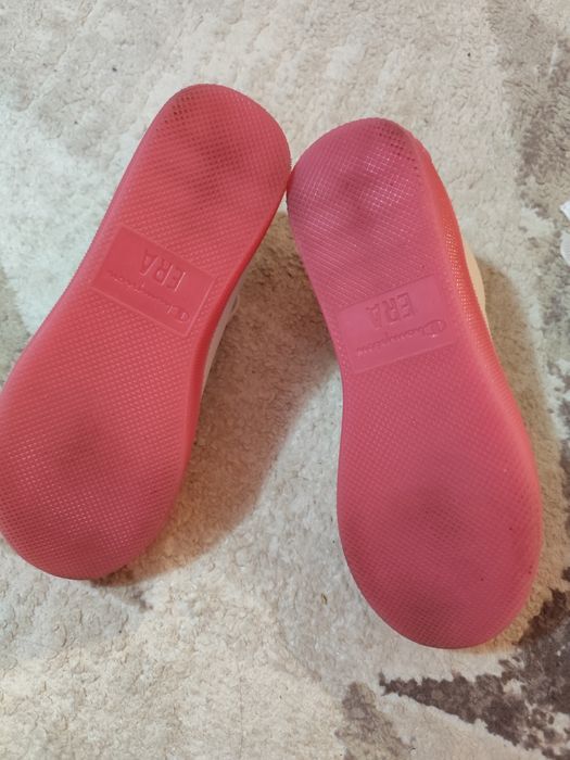 Champion 36 номер