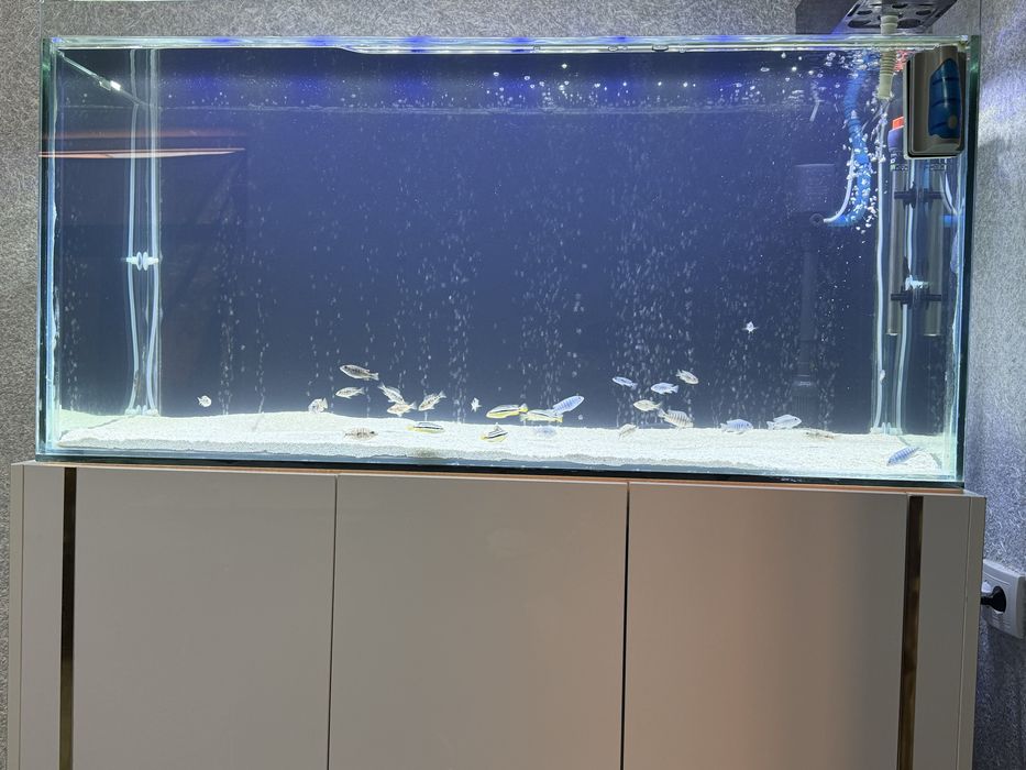 Akvarium sotiladi